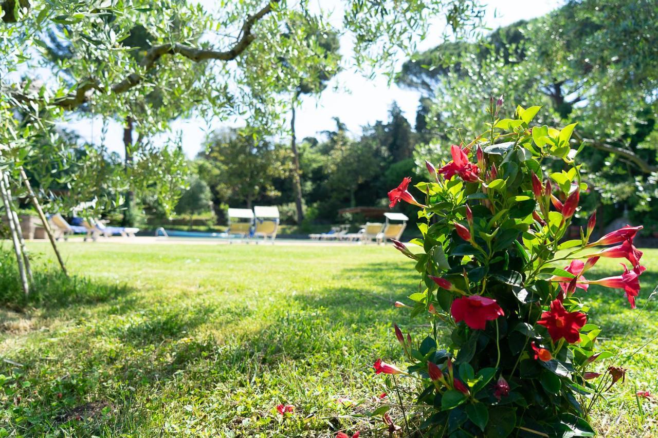 Frascati Country House Grottaferrata Kültér fotó